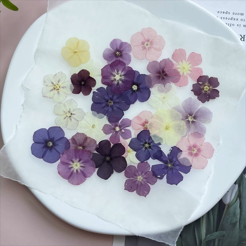 12 шт., полупрозрачные нишевые – обзор и цена Resin Art Baby
